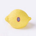Lemon Taba Squishy