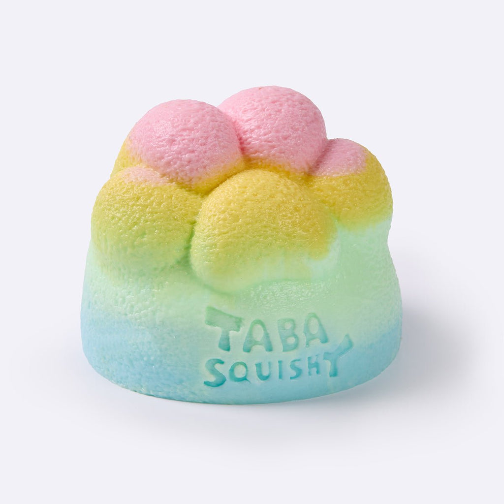 Rainbow Mochi Cat Paw Taba Squishy