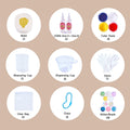Chick Taba Squishy DIY Mold Set