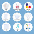 Jellyfish Taba Squishy DIY Mold Set
