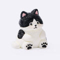 Chubby Tuxedo Cat