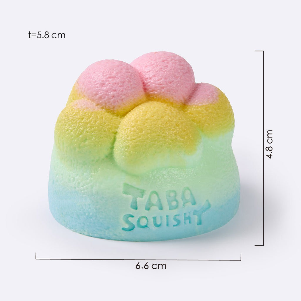 Rainbow Mochi Cat Paw Taba Squishy