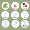 Ghost Taba Squishy DIY Mold Set
