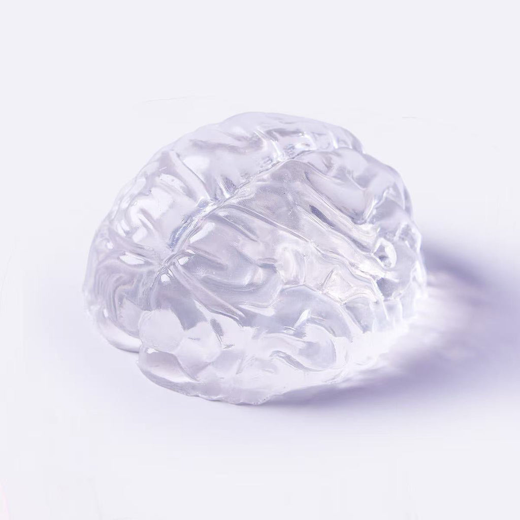 Clear Brain Taba Squishy