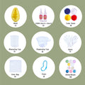Cute Christmas Tree Taba Squishy DIY Mold Set